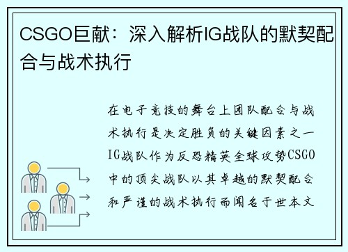CSGO巨献：深入解析IG战队的默契配合与战术执行